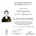 Ampliar imagen: certificate 3