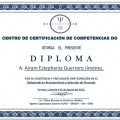 Ampliar imagen: certificate 8