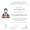 Ampliar imagen: certificate 2