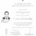 Ampliar imagen: certificate 2