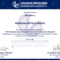 Ampliar imagen: certificate 4