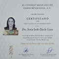 Ampliar imagen: certificate 1