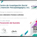 Ampliar imagen: certificate 14