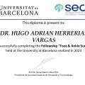 Ampliar imagen: certificate 4