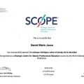 Ampliar imagen: certificate 8