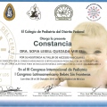 Ampliar imagen: certificate 11