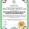 Ampliar imagen: certificate 10