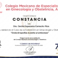 Ampliar imagen: certificate 21