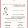 Ampliar imagen: certificate 5