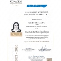 Ampliar imagen: certificate 1