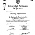 Ampliar imagen: certificate 2