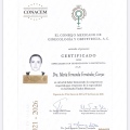 Ampliar imagen: certificate 3