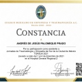 Ampliar imagen: certificate 9
