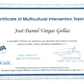Ampliar imagen: certificate 9