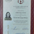 Ampliar imagen: certificate 4