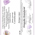 Ampliar imagen: certificate 23