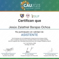 Ampliar imagen: certificate 7