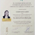 Ampliar imagen: certificate 1