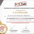 Ampliar imagen: certificate 21