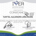 Ampliar imagen: certificate 3