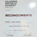Ampliar imagen: certificate 7