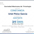 Ampliar imagen: certificate 12