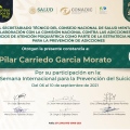 Ampliar imagen: certificate 13