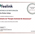 Ampliar imagen: certificate 15