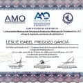 Ampliar imagen: certificate 4