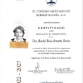 Ampliar imagen: certificate 9