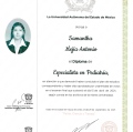 Ampliar imagen: certificate 3
