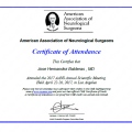 Ampliar imagen: certificate 26