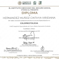 Ampliar imagen: certificate 3