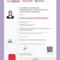 Ampliar imagen: certificate 1