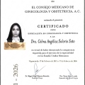 Ampliar imagen: certificate 3