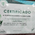 Ampliar imagen: certificate 3