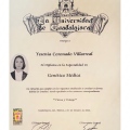 Ampliar imagen: certificate 7