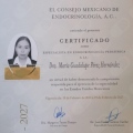 Ampliar imagen: certificate 21
