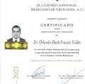 Ampliar imagen: certificate 4