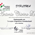 Ampliar imagen: certificate 4