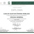 Ampliar imagen: certificate 2
