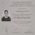 Ampliar imagen: certificate 4