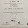 Ampliar imagen: certificate 2