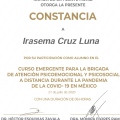 Ampliar imagen: certificate 4