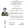 Ampliar imagen: certificate 1