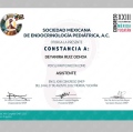 Ampliar imagen: certificate 9