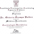 Ampliar imagen: certificate 5