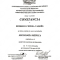 Ampliar imagen: certificate 3