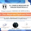 Ampliar imagen: certificate 1
