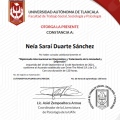 Ampliar imagen: certificate 5